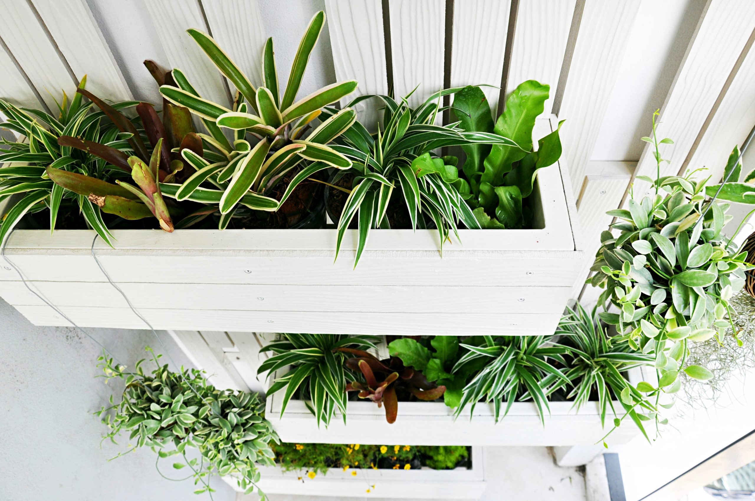 Small Space Gardening Ideas